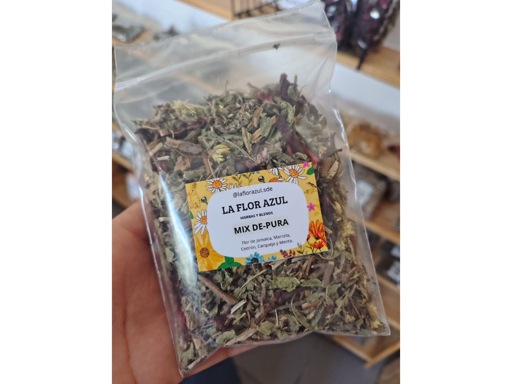 Blend Hierbas DEPURA