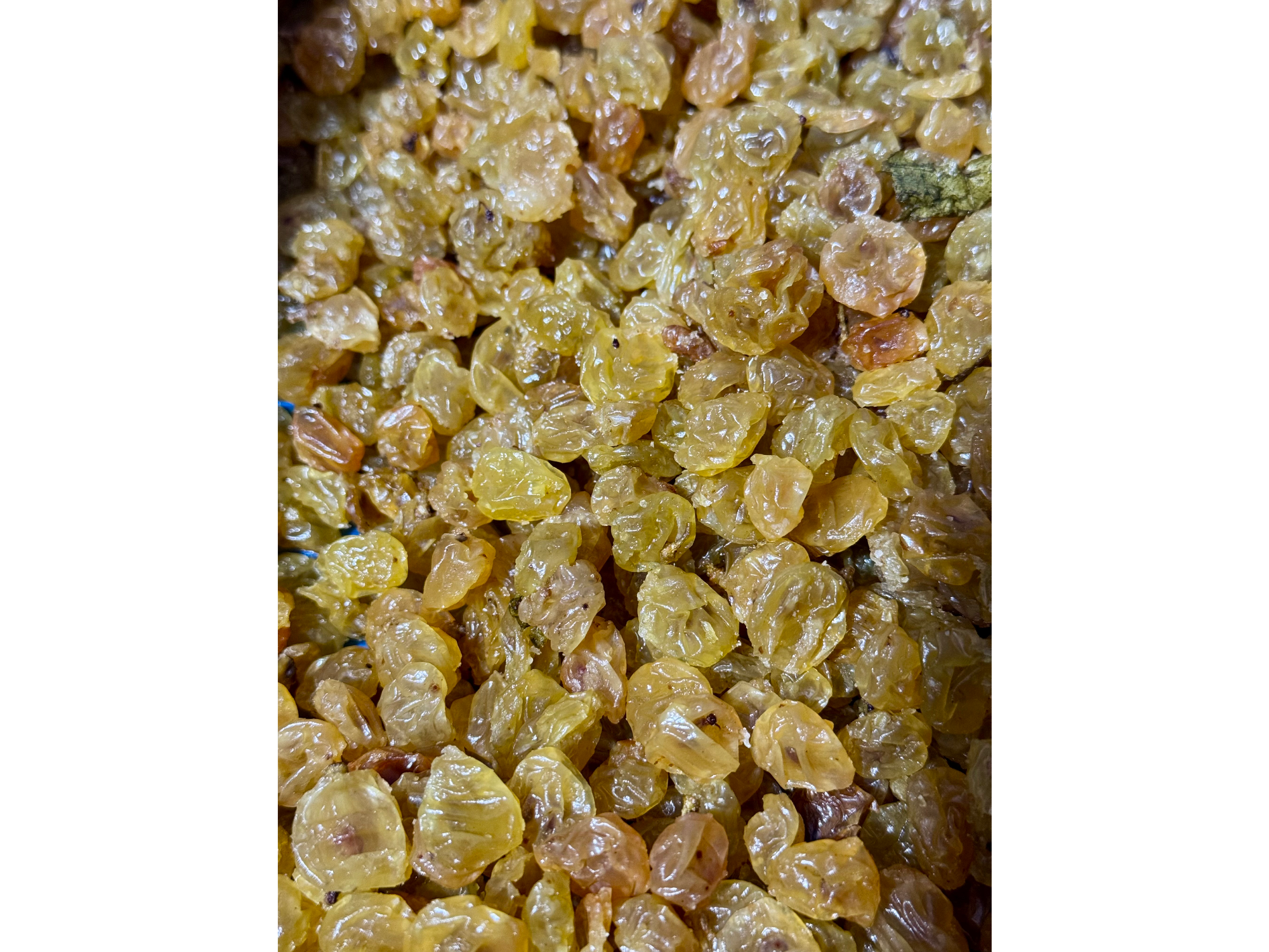 Pasas Rubias sin semilla