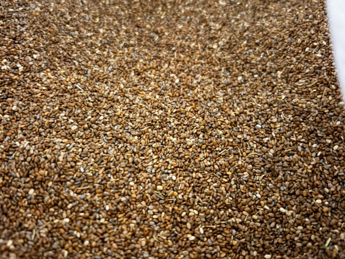 Semillas de chia ECONOMICA