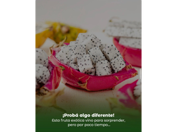 Pitaya/Fruta del dragon
