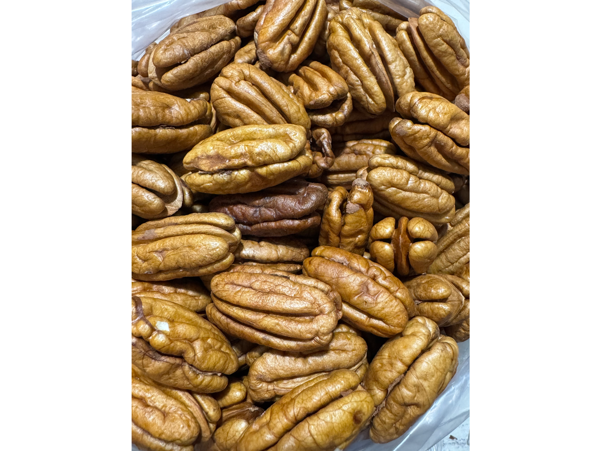 Nuez Pecán