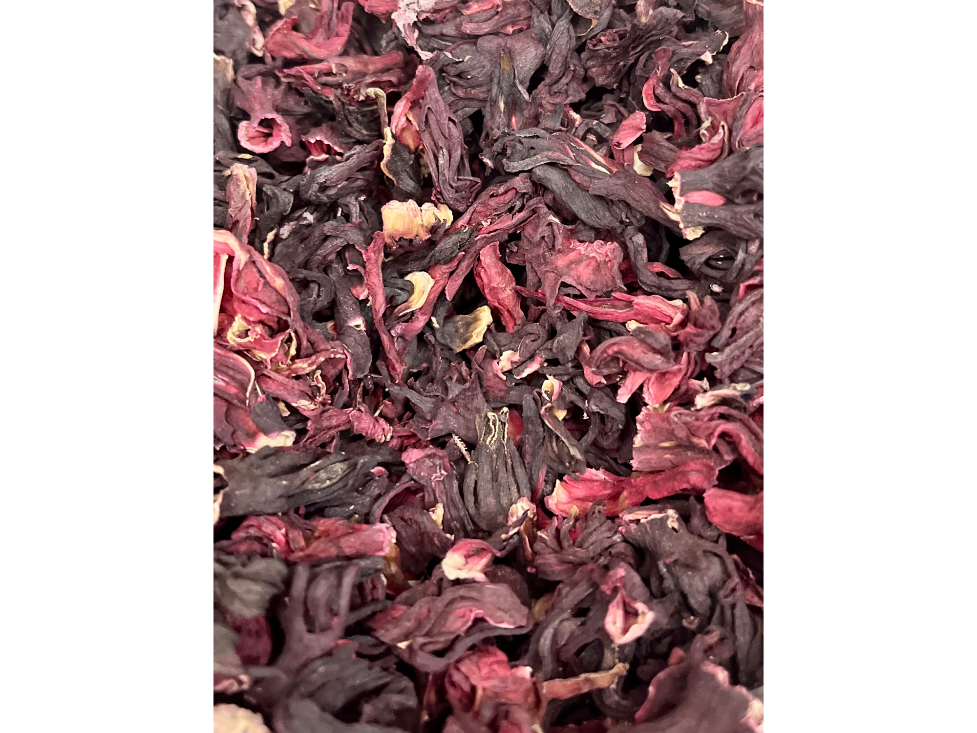 Flor de Hibiscus / de Jamaica