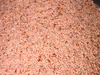 Psyllium