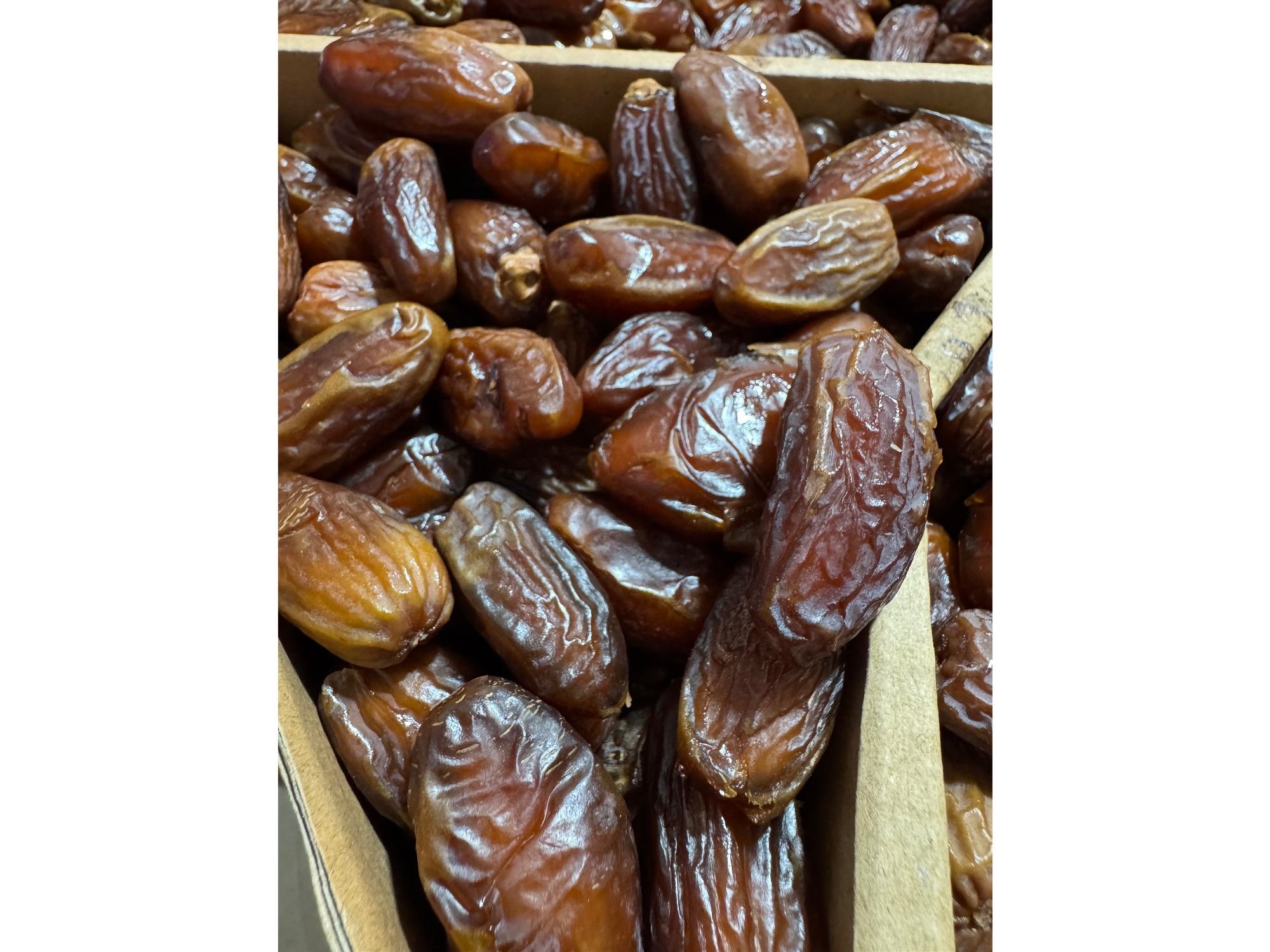 Dátiles de Egipto con carozo