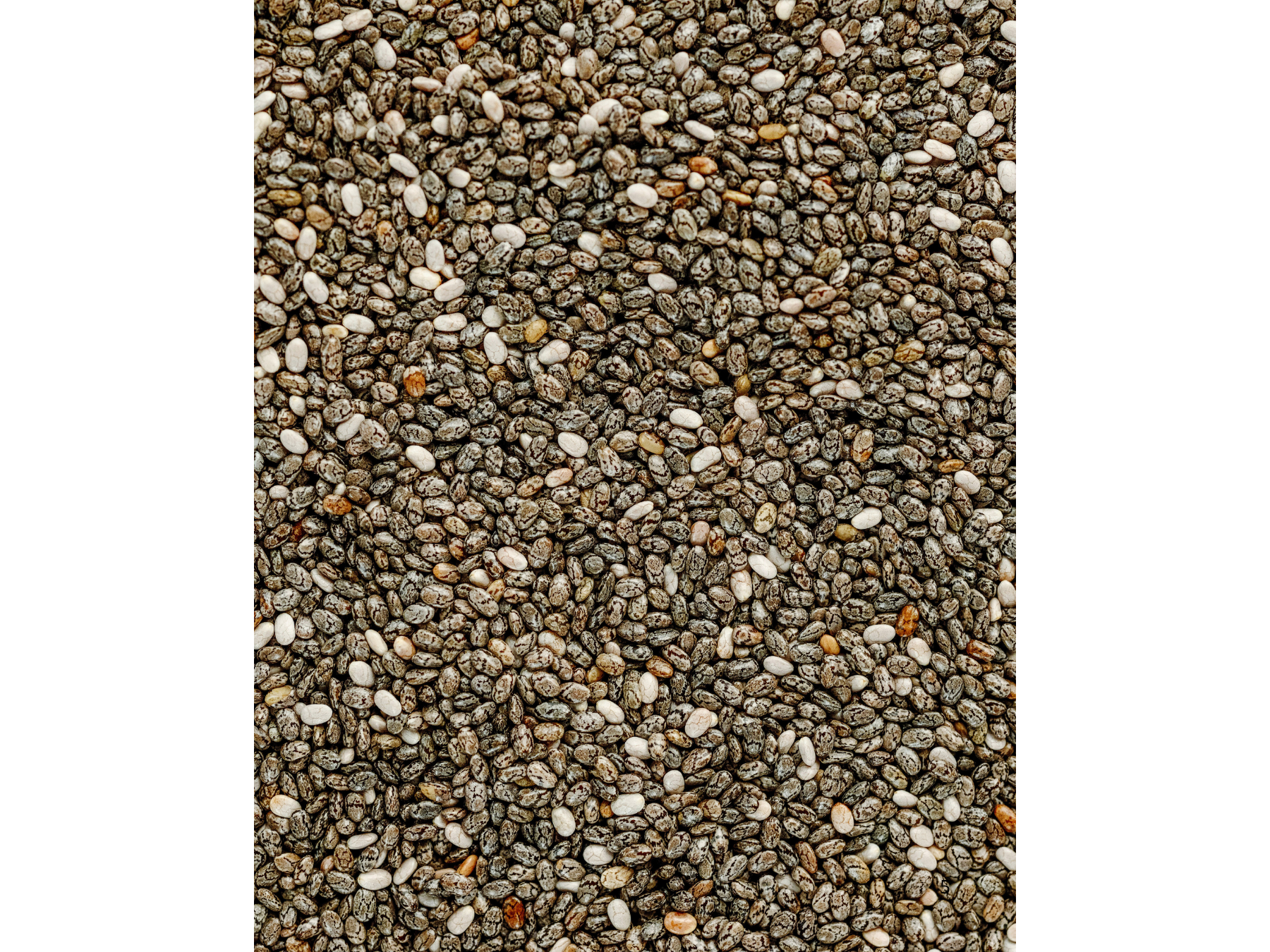 Semillas de Chia PREMIUM