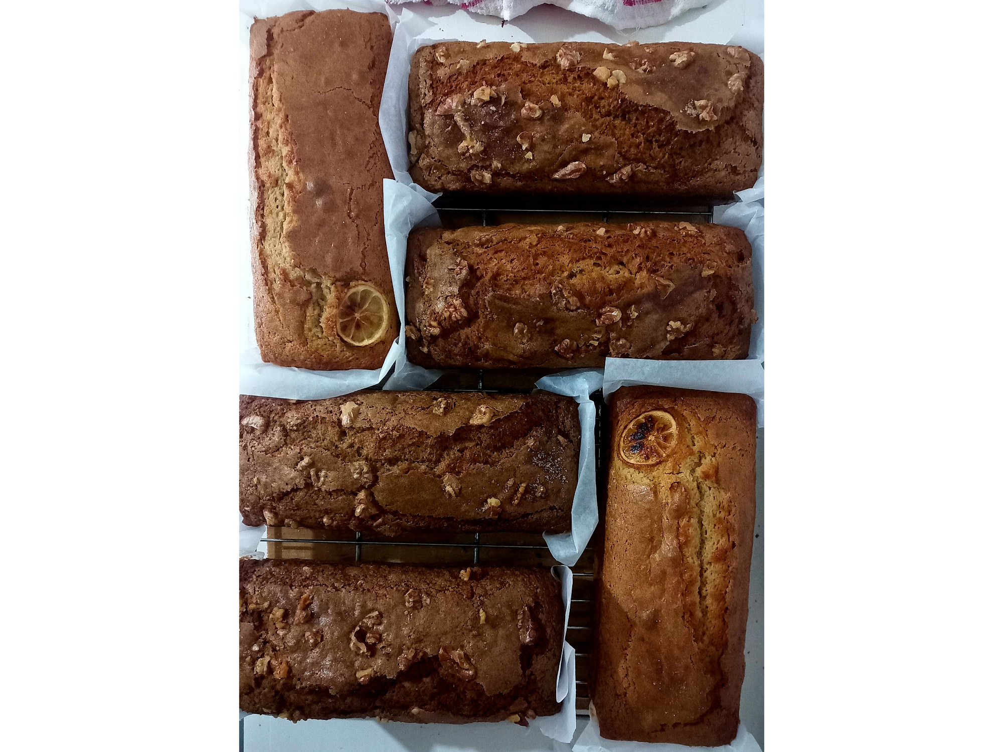 BUDIN CARROT INTEGRAL (grande)