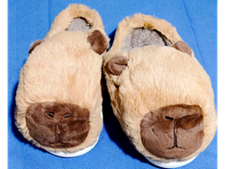 Pantuflas Capibara