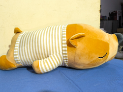 Peluche con manta Oso de color marrón claro