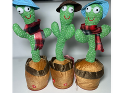Cactus bailarin