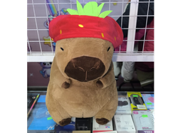CAPIBARA CON MANTA