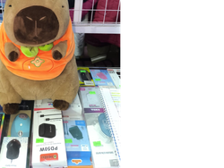 CAPIBARA CON MANTA