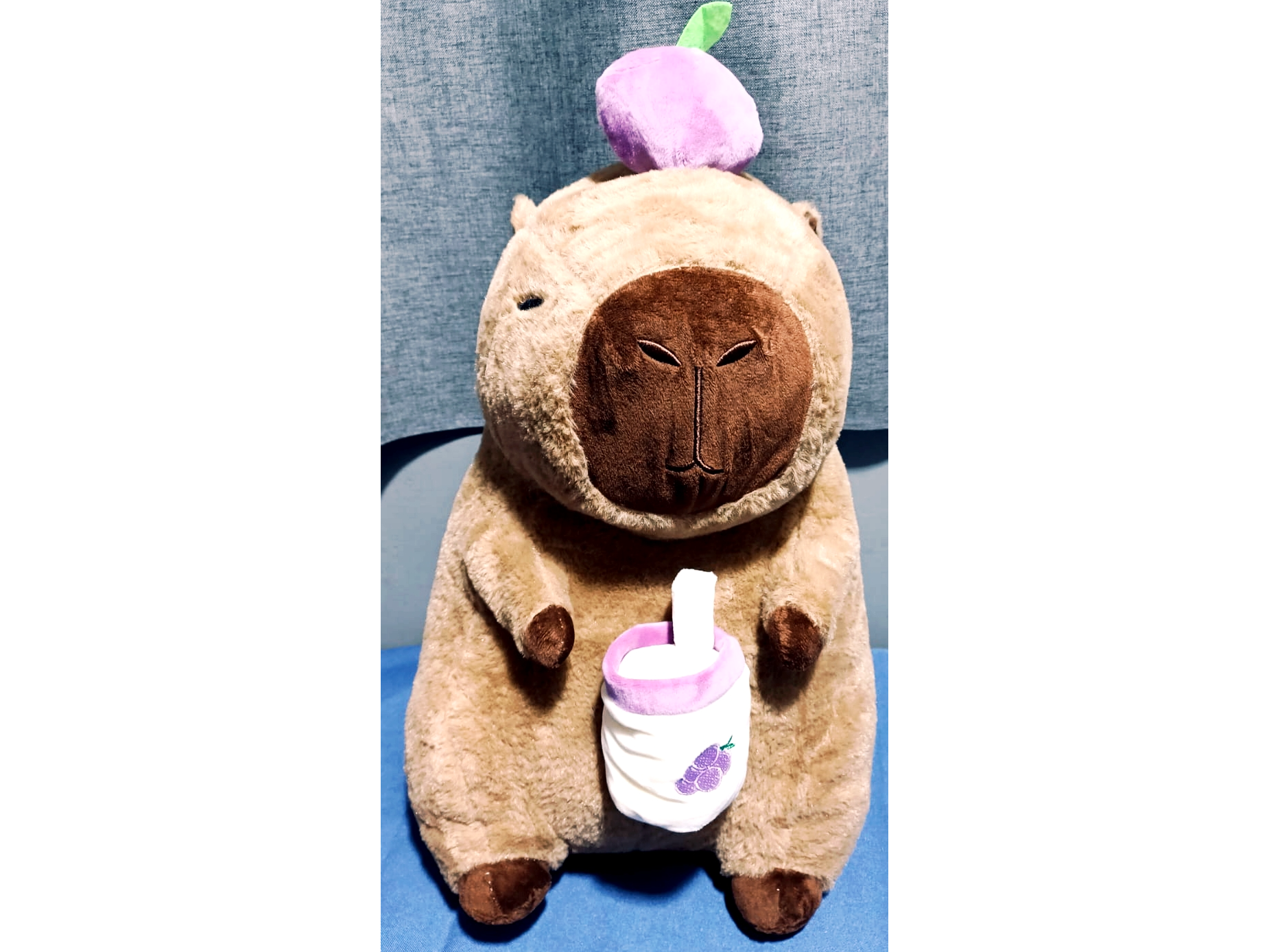 Peluche con manta  CAPIBARA con taza blanca