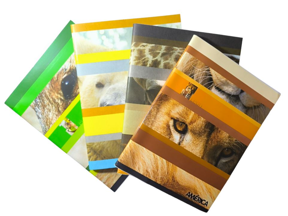 CUADERNO AMERICA MONITOR X 48 HOJAS (TAPA FLEXIBLE)