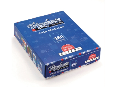 REPUESTO N°3 (TAMAÑO RIVADAVIA) TRIUNFANTE X 480 HOJAS