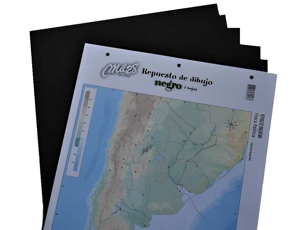 REPUESTO DIBUJO N°5 NEGRO (TIPO CANSON) X 5 HOJAS