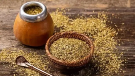 YERBA