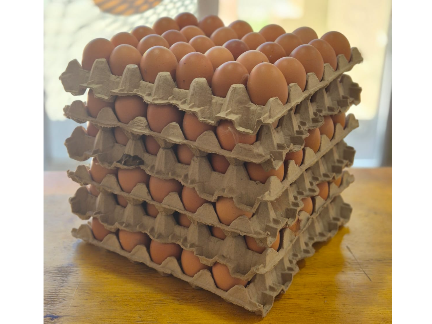 MEDIO CAJON DE HUEVO MEDIANO DE COLOR