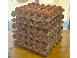 MEDIO CAJON DE HUEVO MEDIANO DE COLOR