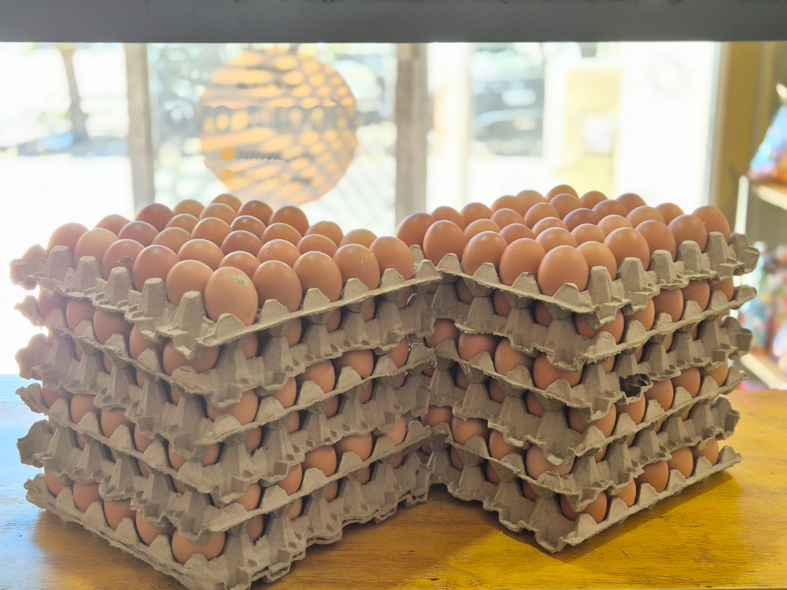 CAJON DE HUEVO CHICO DE COLOR
