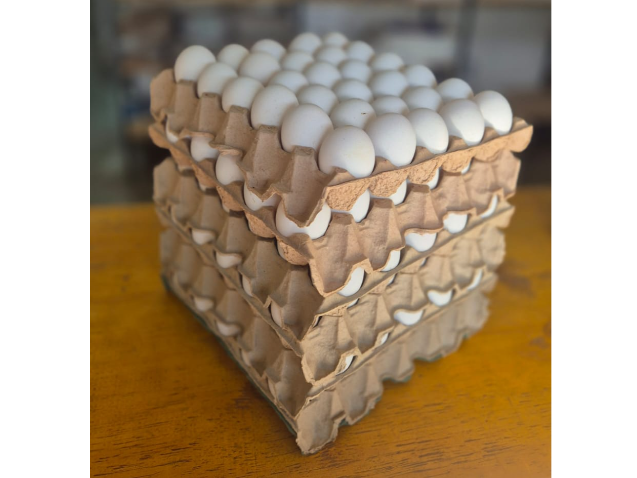 MEDIO CAJON DE CHICO BLANCO