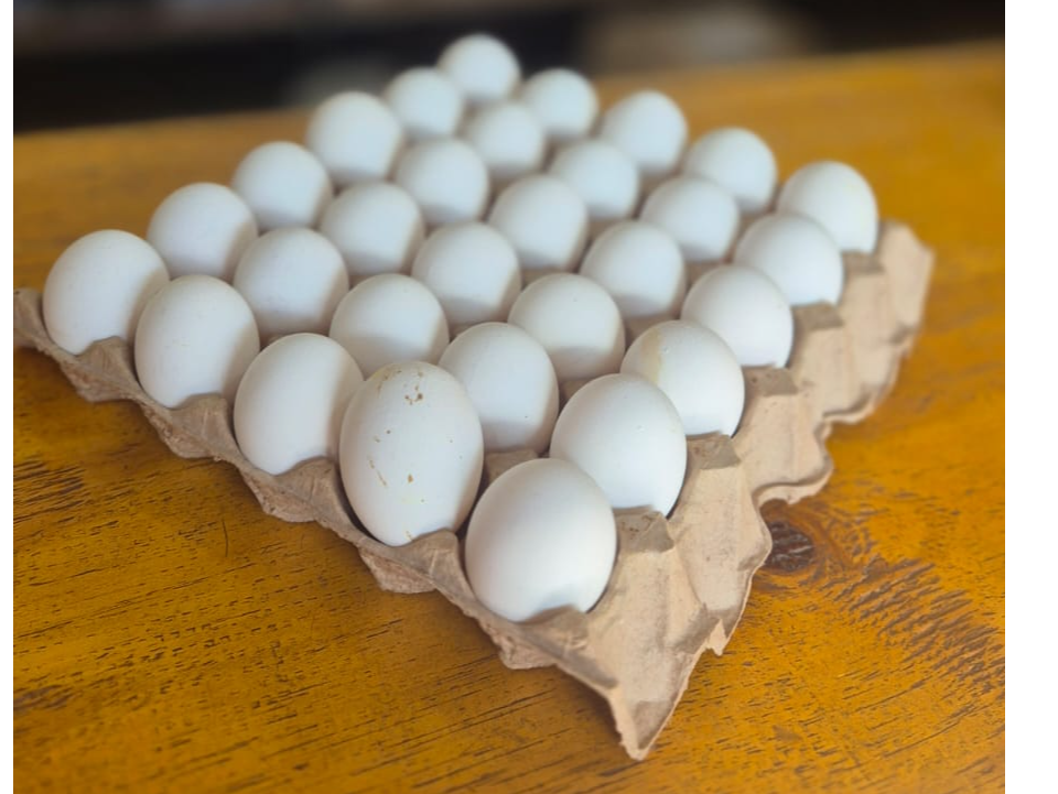 HUEVO BLANCO CHICO