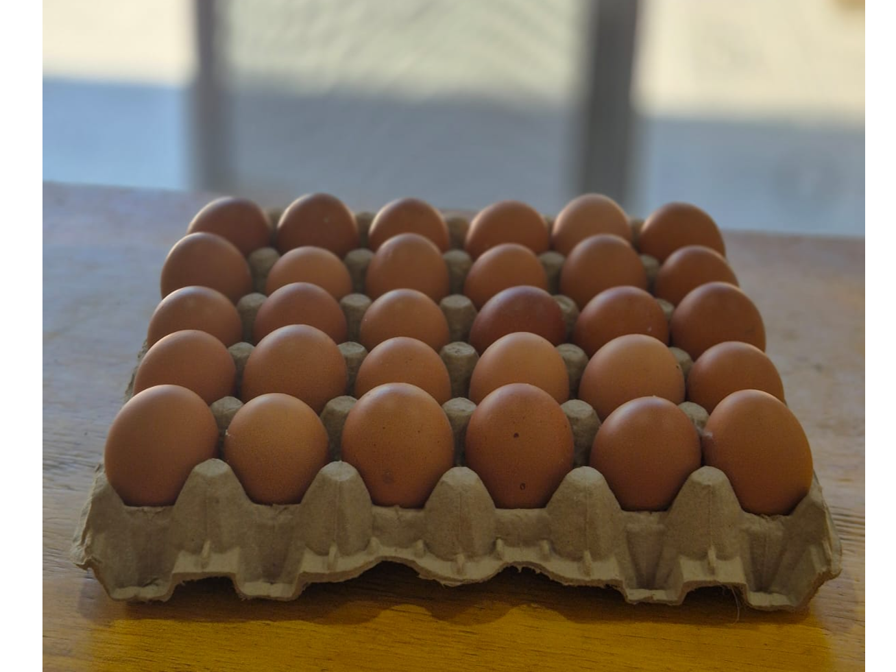 HUEVO CHICO COLOR X MAPLE