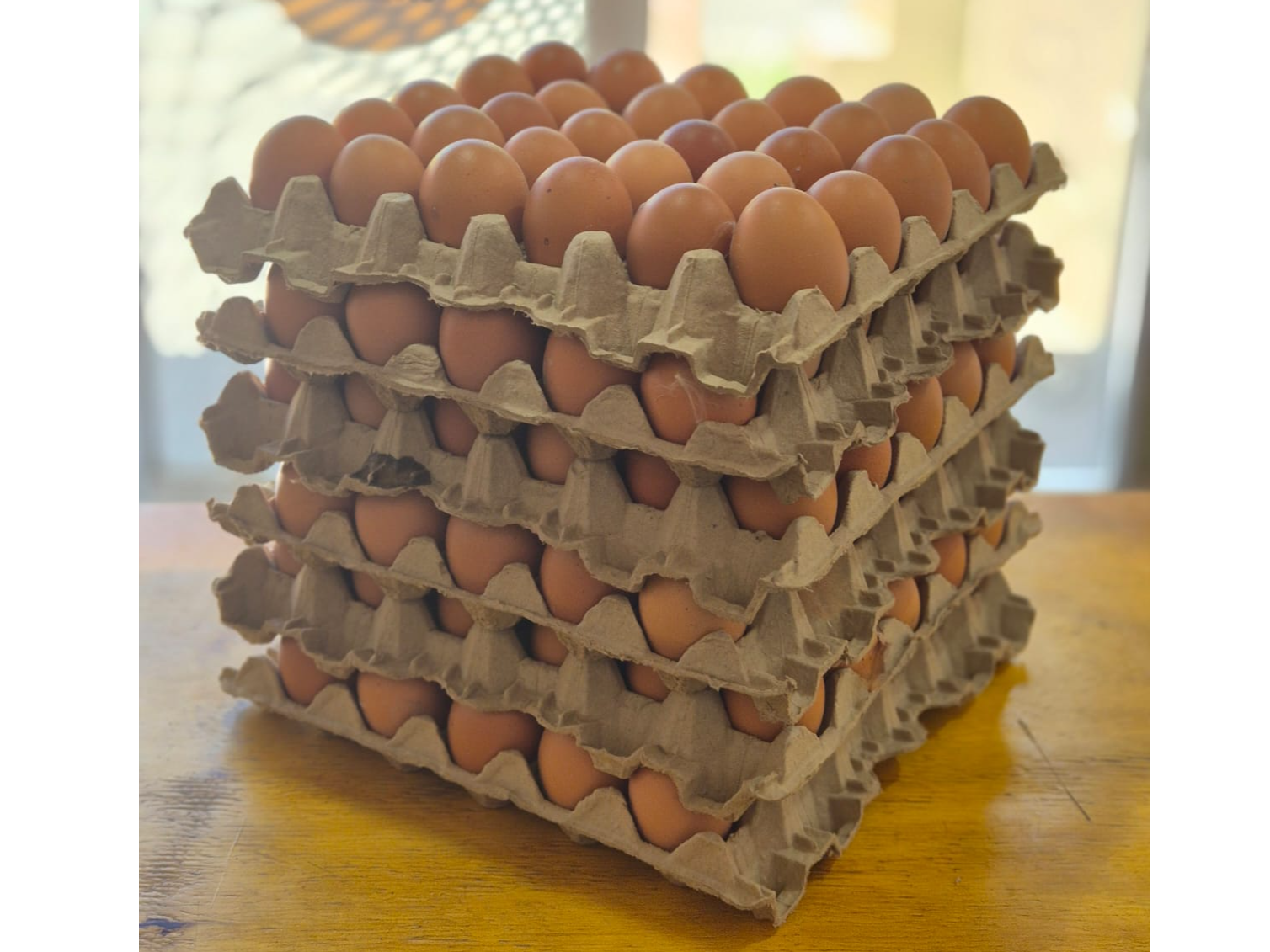 MEDIO CAJON DE HUEVO CHICO DE COLOR