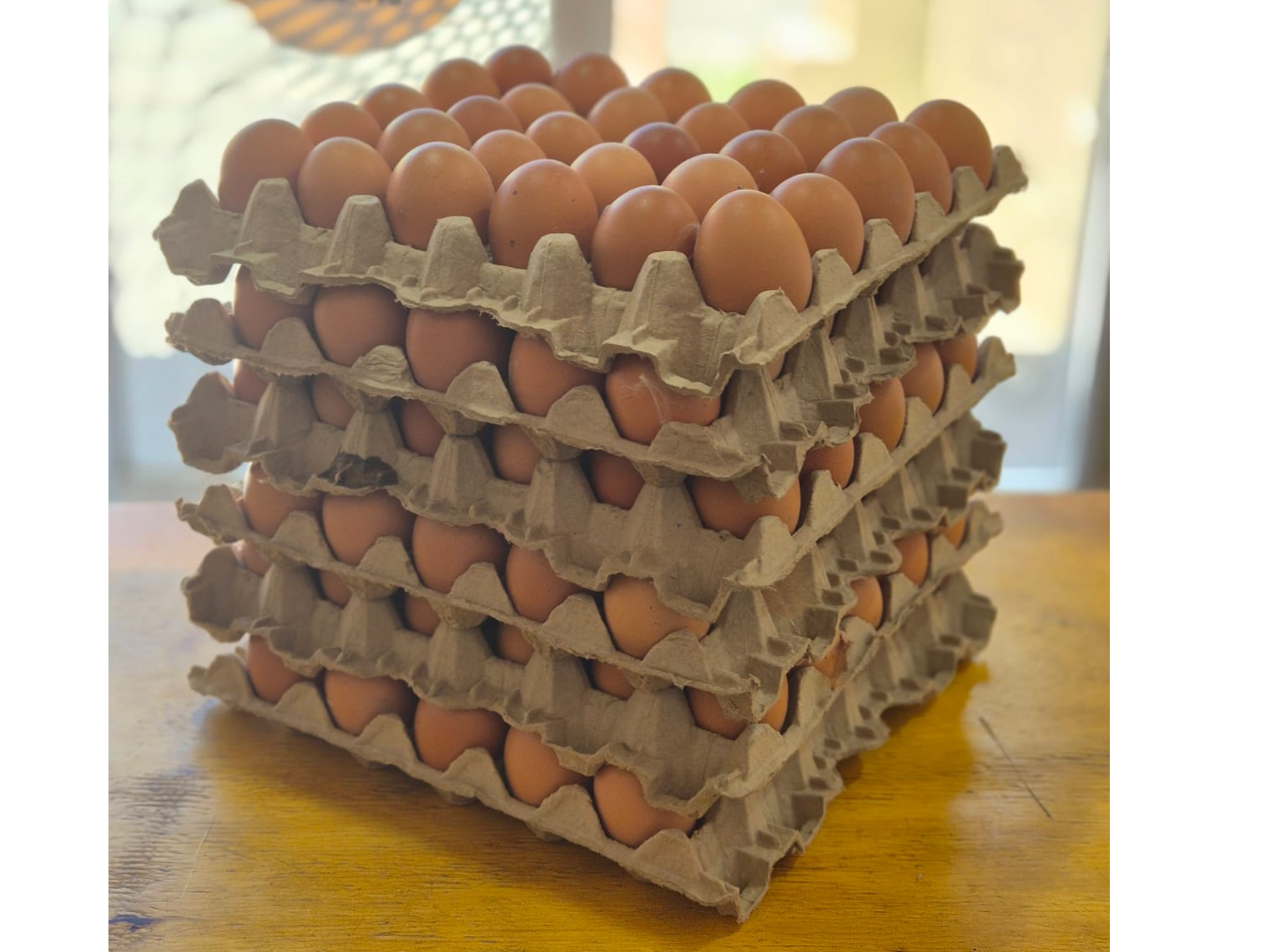 MEDIO CAJON DE HUEVO GRANDE DE COLOR