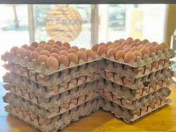 CAJON DE HUEVO MEDIANO DE COLOR