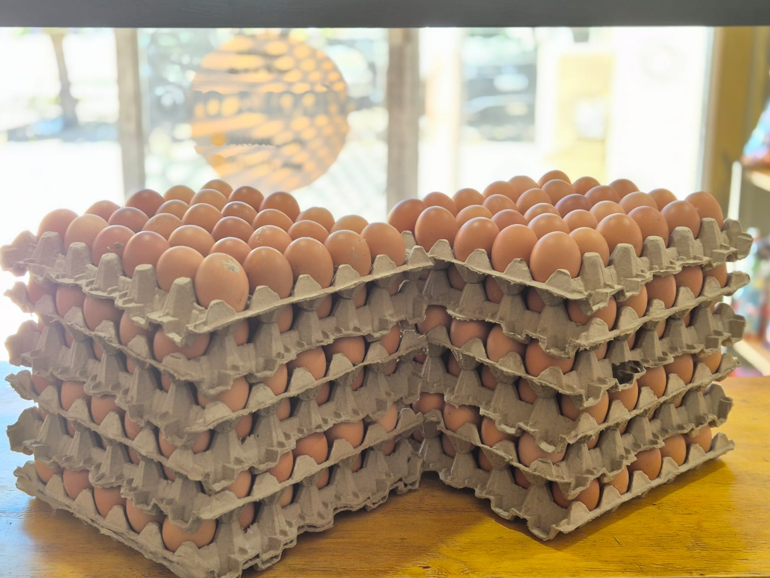 CAJON DE HUEVO GRANDE DE COLOR