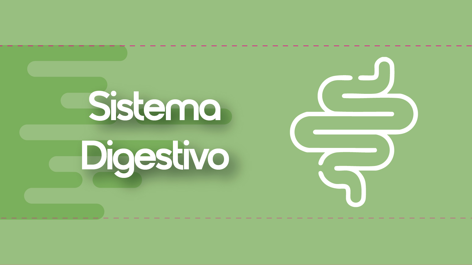 SISTEMA DIGESTIVO