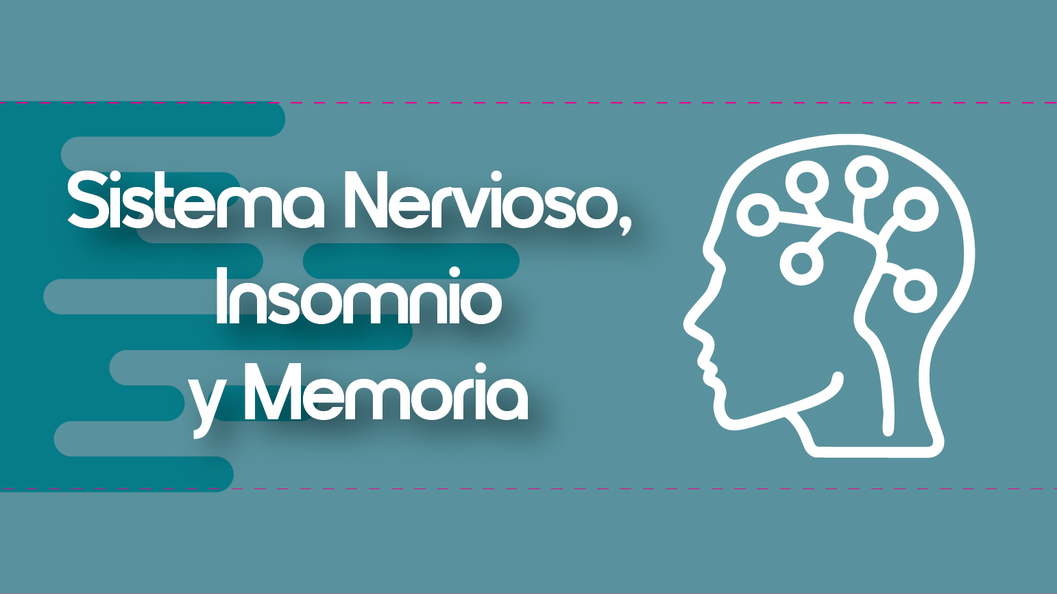 SISTEMA NERVIOSO, INSOMNIO Y MEMORIA