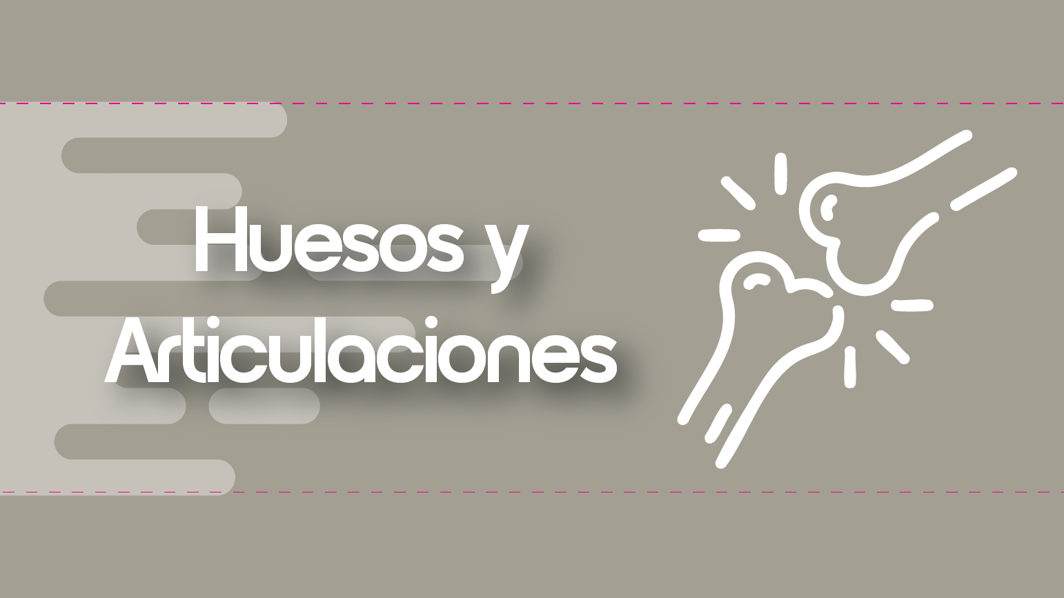 HUESOS Y ARTICULACIONES