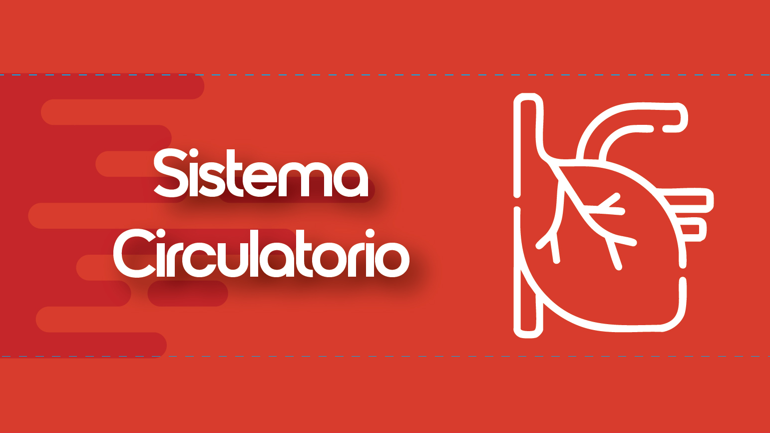 SISTEMA CIRCULATORIO