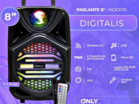 PARLANTE CON MICRO, CONTROL Y LUZ 8 PULGADAS