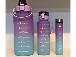 Botellas Motivacionales x 3