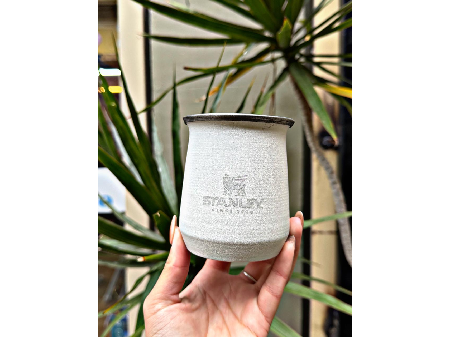 MATE ECONOMICO STANLEY
