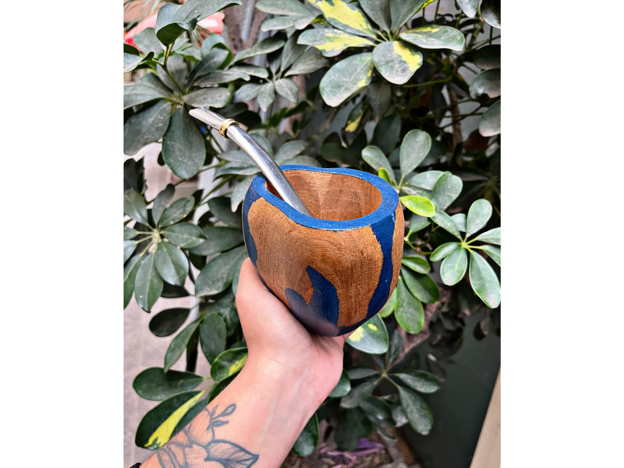 Mate ranchero algarrobo