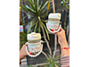 Taza/ vaso con perlitas