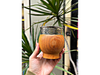 MATE IMPERIAL DE ALGARROBO CON SOL ARGENTINA