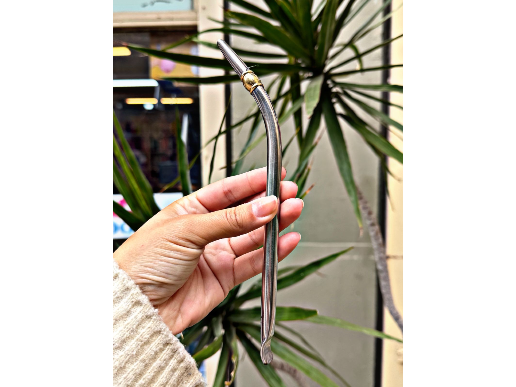 BOMBILLA PICO DE LORO CON APLIQUE DORADO 20CM