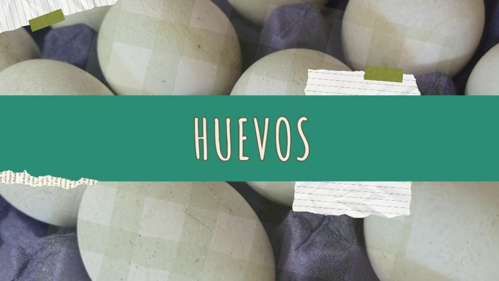 Huevos
