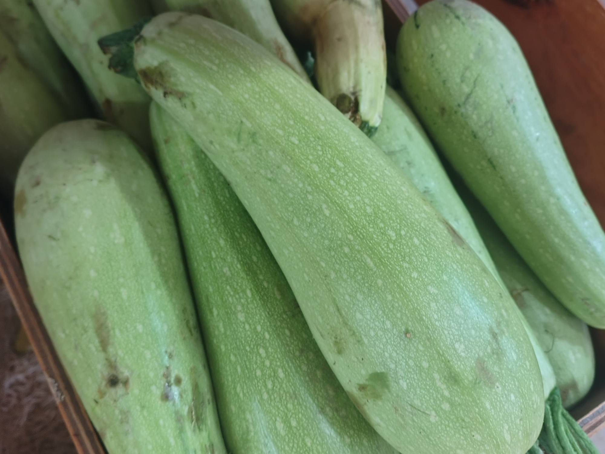 Zuchinni