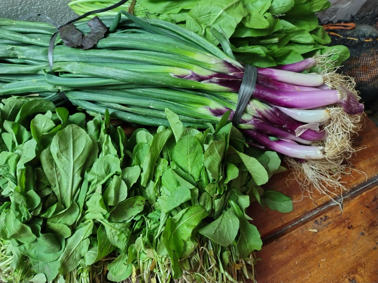 Apio, verdeo, rúcula,perejil, puerro, cibulette
