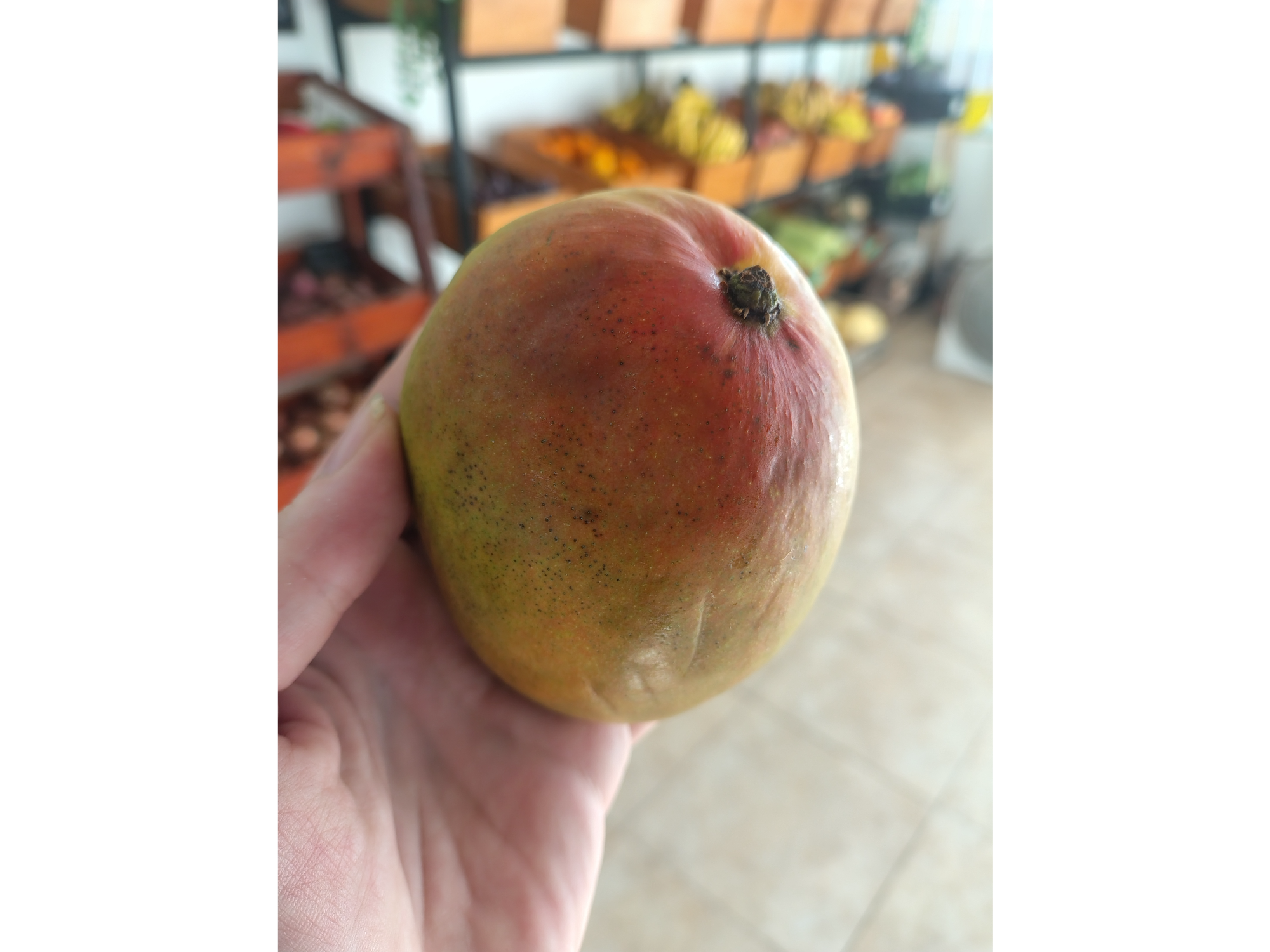 Mango