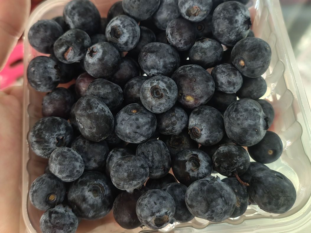 Arándano por bandeja