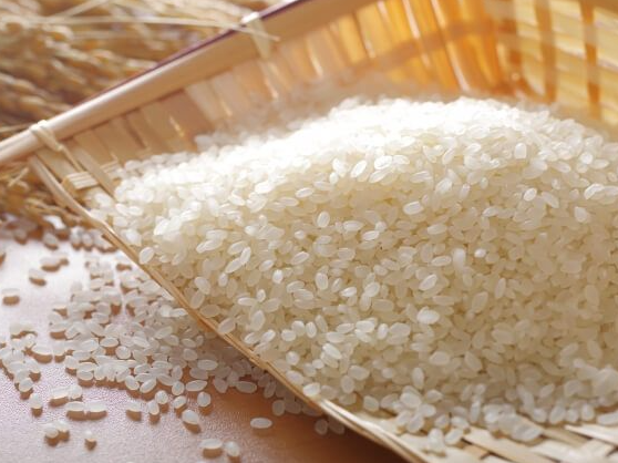 Arroz koshihikari (sushi)