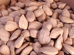 Almendra Marinada mediana