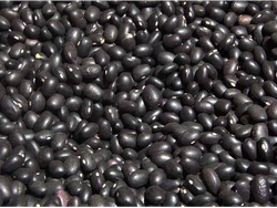 Porotos negros