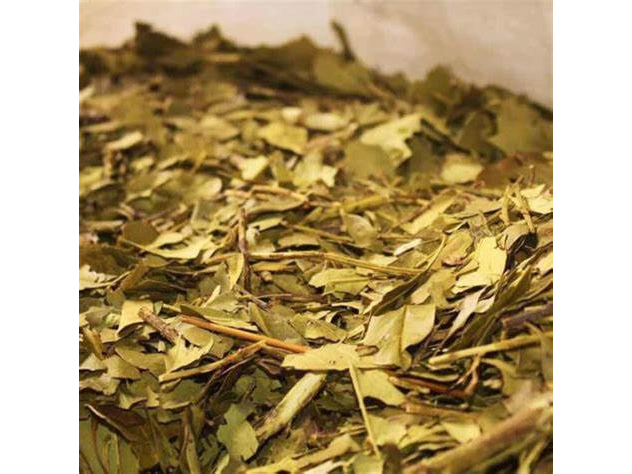 Yerba Ajedrez